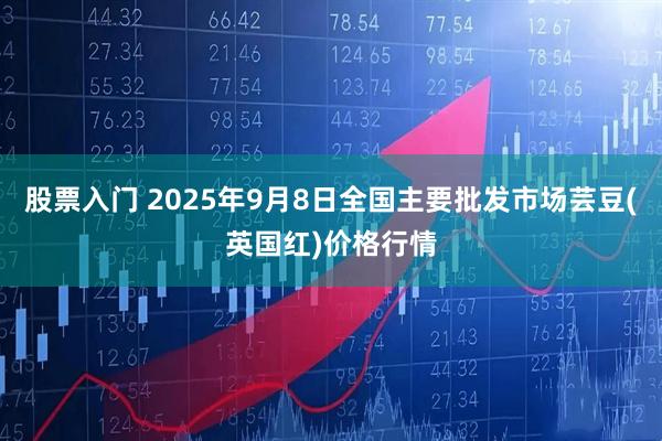 股票入门 2025年9月8日全国主要批发市场芸豆(英国红)价格行情
