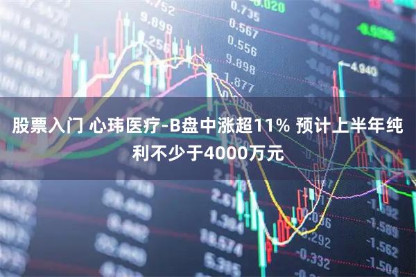 股票入门 心玮医疗-B盘中涨超11% 预计上半年纯利不少于4000万元