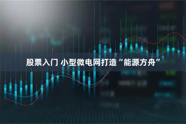 股票入门 小型微电网打造“能源方舟”